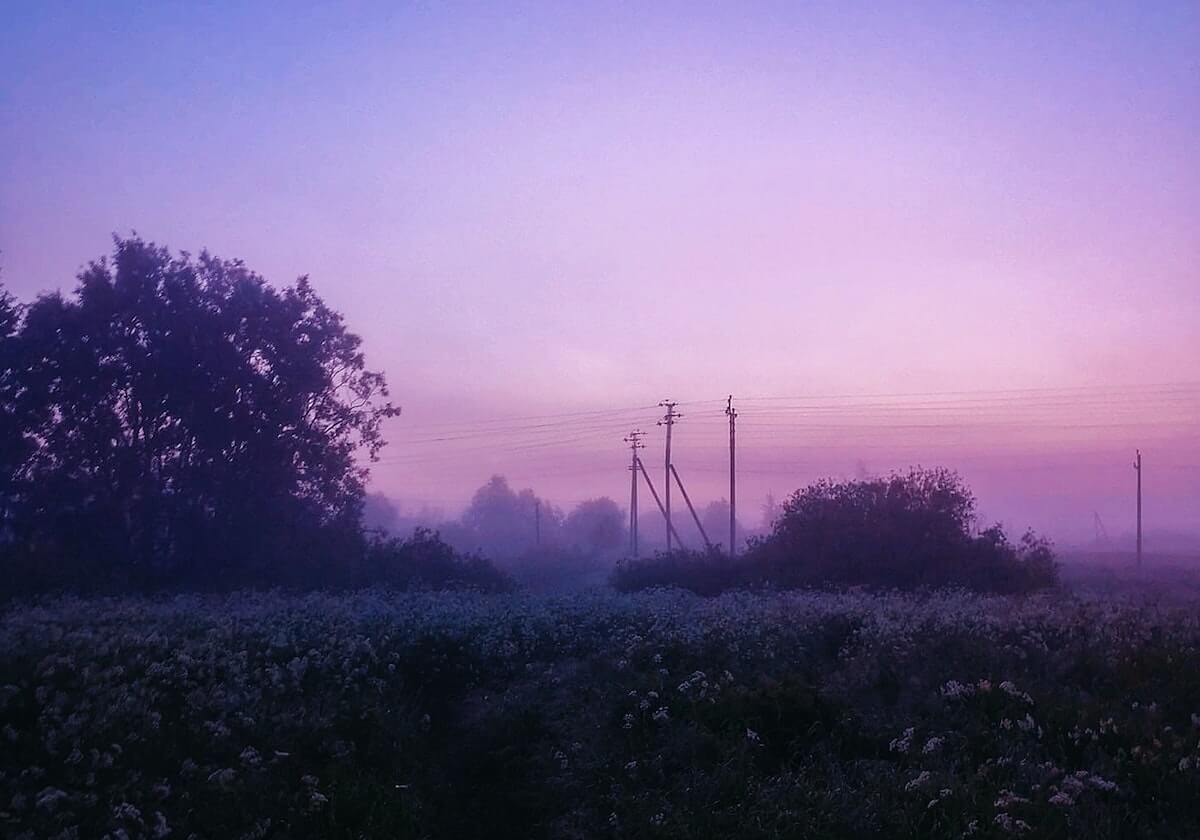 意甲媒体热议：帕夫洛维奇正在逐步成为米兰的明星球员，主教练对其赞赏有加